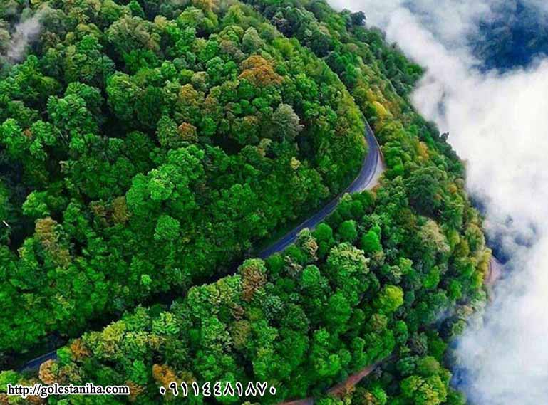 جاده اسالم به خلخال از جاهای دیدنی گیلان